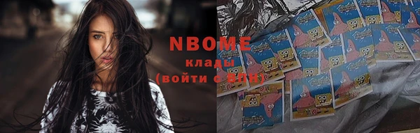 прущие грибы Покров
