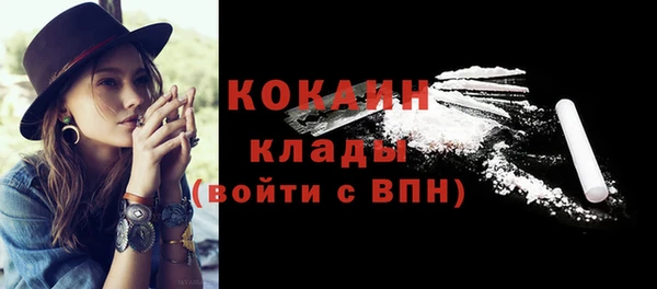 сатива Покачи