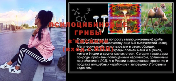 a pvp Аркадак