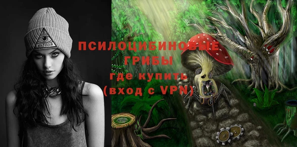 a pvp Аркадак