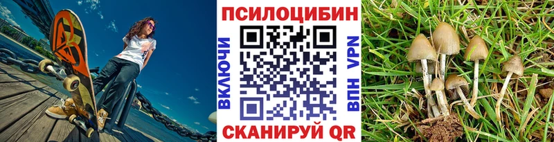 Псилоцибиновые грибы прущие грибы  Устюжна 